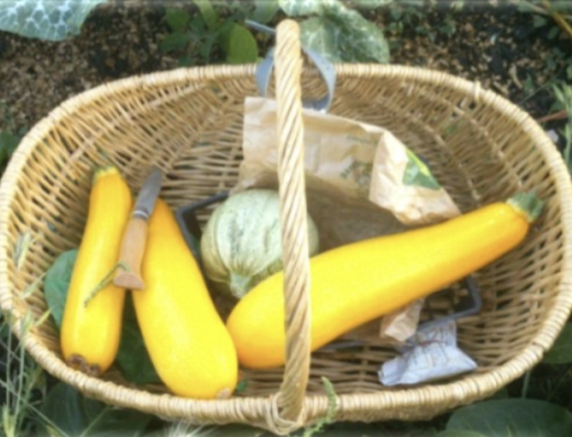 Capture decran 2026 02 26 a 11.34.20